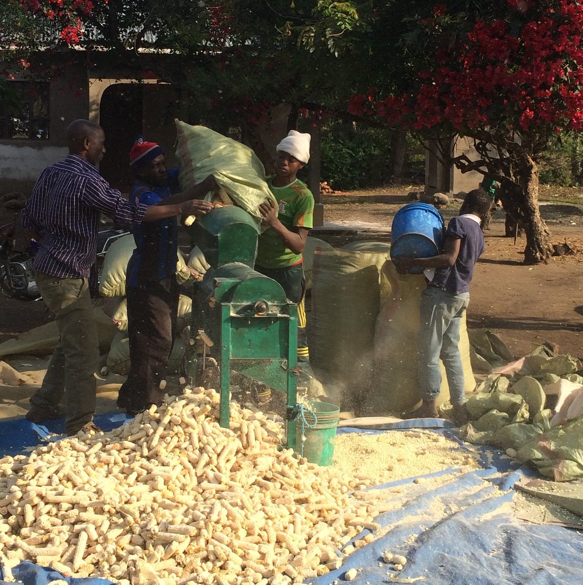 FarmAfrica's tweet photo. Farm Africa's Rachel Beckett discussed how our @FoodTradeESA project links Ugandan and Tanzanian staple crops farmers to regional markets at this evening's @APPG_Ag_F4D meeting. #UKaid #Aidworks #UKAPPGsIntDev https://t.co/O7InfIqz7C https://t.co/6twamZ4A4p