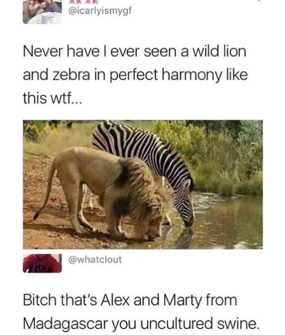 😂😂😂