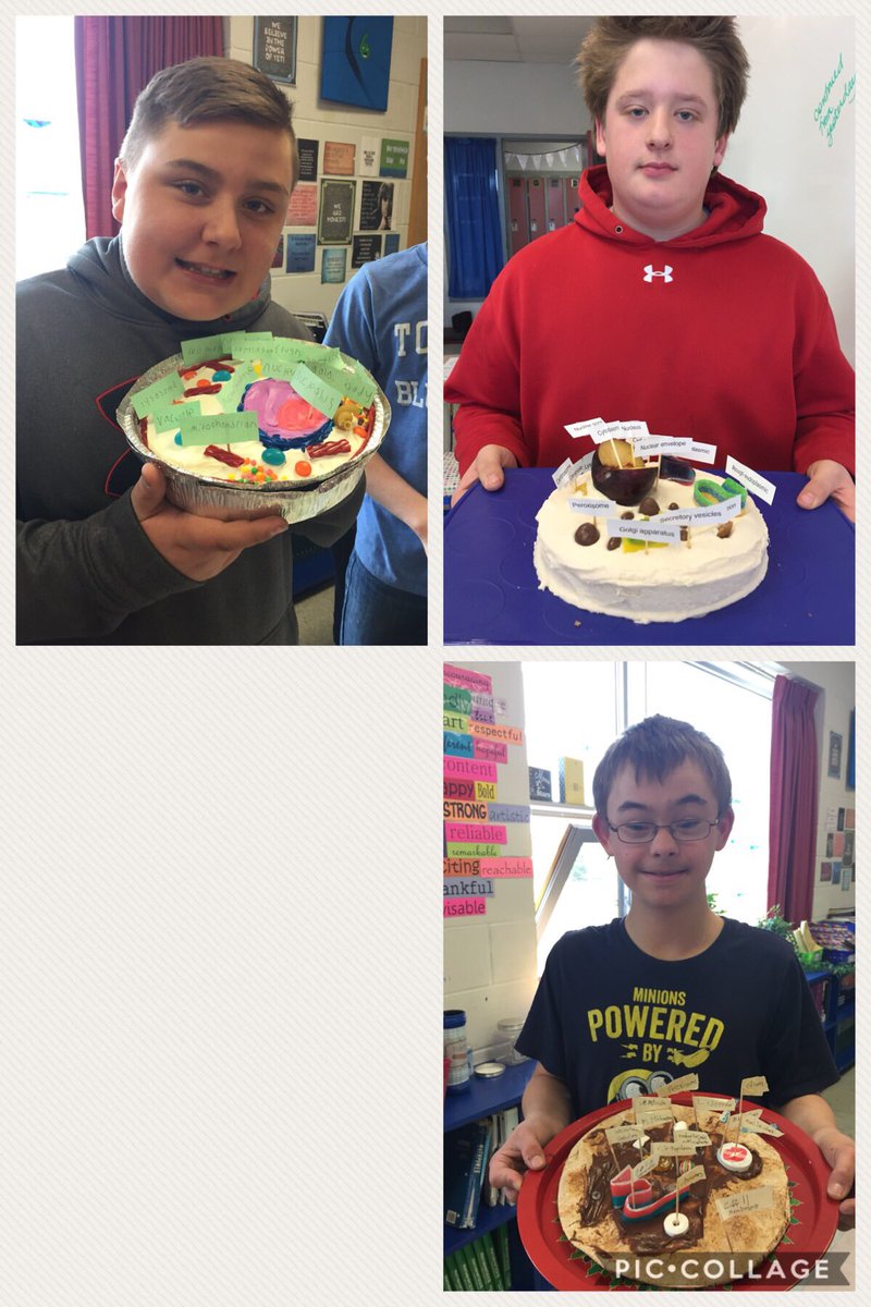 LisaConway17's tweet image. Part 2: Plant and Animal Cell Models made with food! They had fun making them, but I think they enjoyed eating them more! 😊 #Grade8 #Cells #ScienceYouCanEat @AJCharbonneauPS @RCDSB