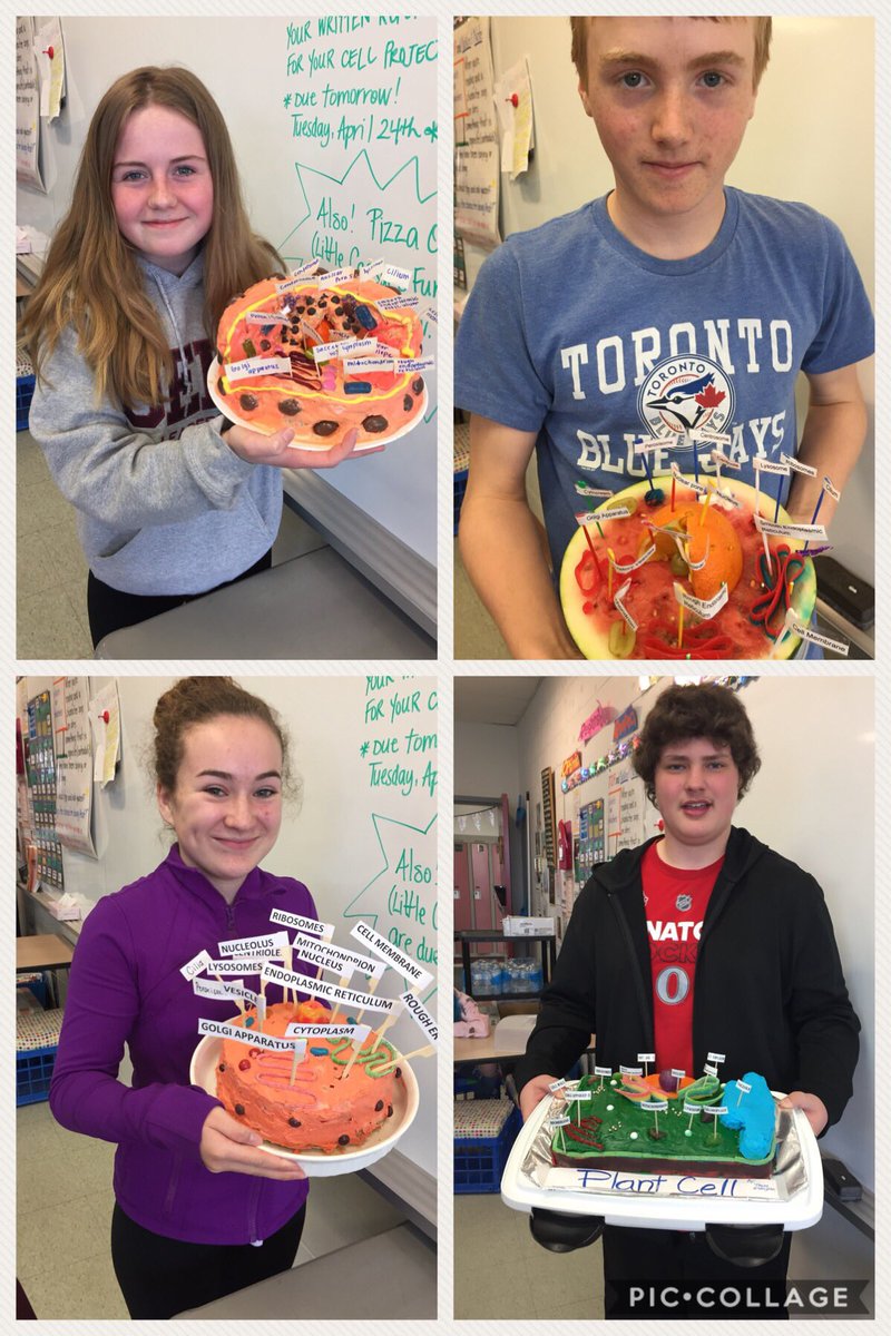 LisaConway17's tweet image. Part 2: Plant and Animal Cell Models made with food! They had fun making them, but I think they enjoyed eating them more! 😊 #Grade8 #Cells #ScienceYouCanEat @AJCharbonneauPS @RCDSB