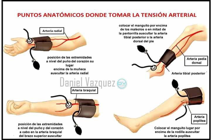 Donde se puede tomar la temperatura