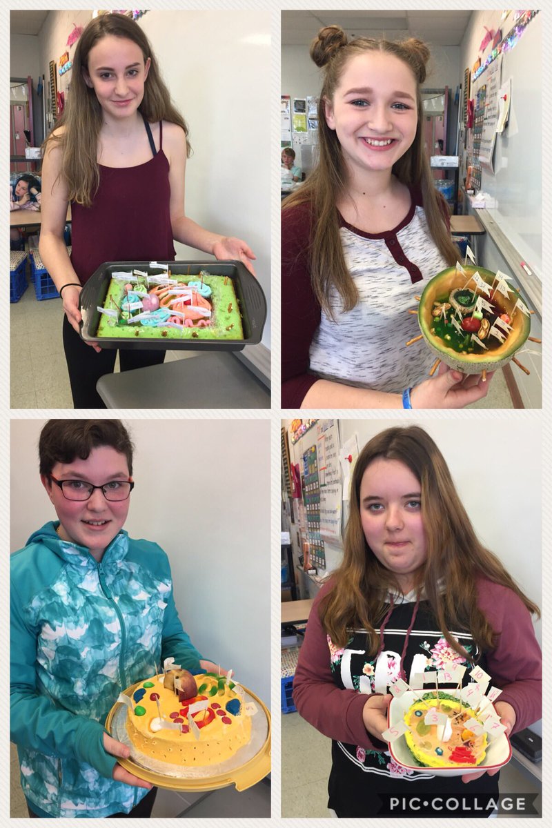 LisaConway17's tweet image. Plant and Animal Cell Models made with food! They had fun making them, but I think they enjoyed eating them more! 😊 #Grade8 #Cells #ScienceYouCanEat @AJCharbonneauPS @RCDSB