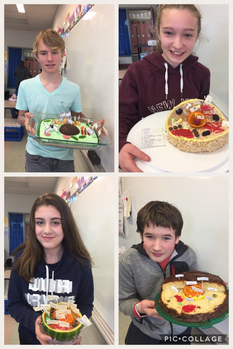 LisaConway17's tweet image. Plant and Animal Cell Models made with food! They had fun making them, but I think they enjoyed eating them more! 😊 #Grade8 #Cells #ScienceYouCanEat @AJCharbonneauPS @RCDSB