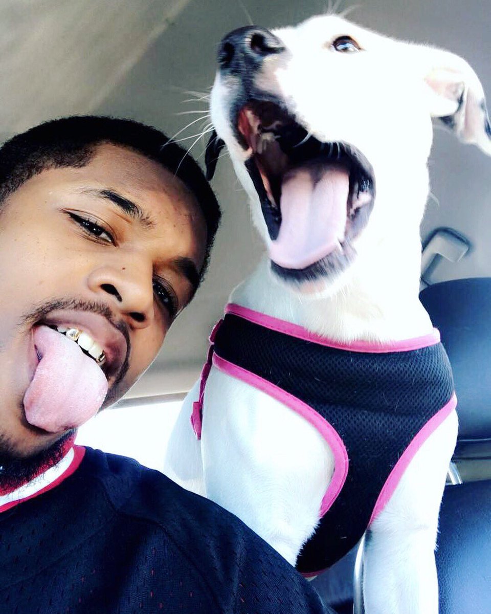 JoshButlerTv's tweet photo. #singledadtwitter 🐶🐶😂 https://t.co/0DQWTJGhpC