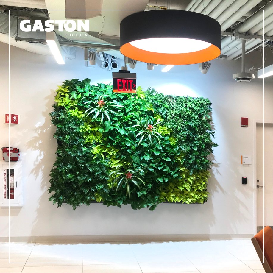 Adding #light to #offices, #labs,...and #GreenWalls! Cool shot of @labcentral's new addition with full-spectrum #lighting. #LivingWall #LivingWalls #GreenWall #Plants #Design #AirQuality #Green #InteriorDesign #Electrical #Cambridge
