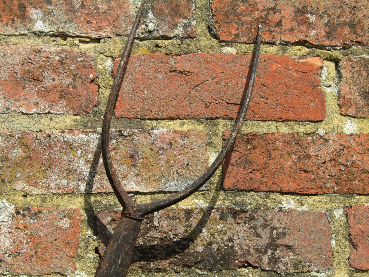 P1LCH1964's tweet image. #forked!