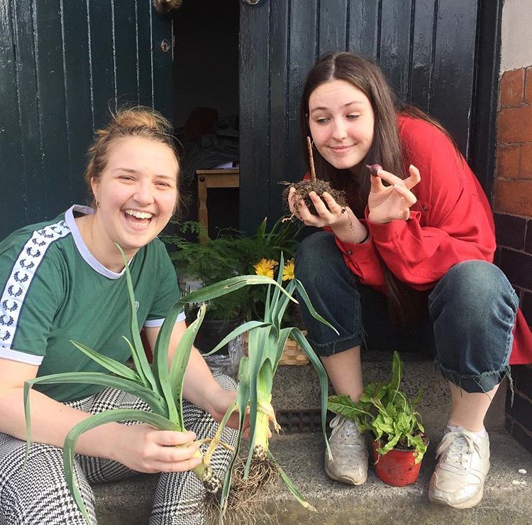 bloominbrum's tweet photo. We are brand new to twitter!

We are currently working with a group of young people in a youth centre in Birmingham, working with them to develop the skills necessary to project manage the creation of a community garden. Follow our journey! 

#community #gardening #youngpeople https://t.co/NnLaM3cUTk