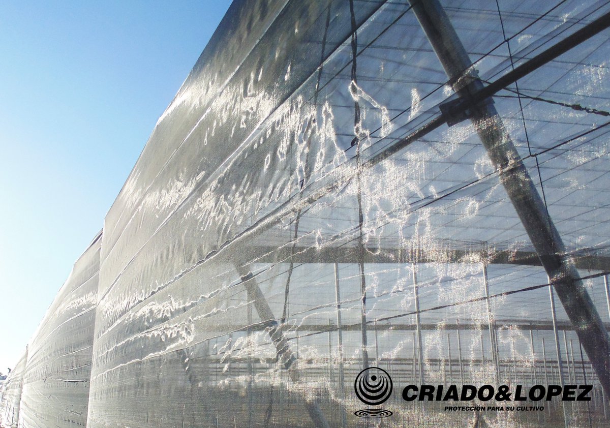 CRIADOYLOPEZ's tweet photo. Hoy comienza @SIAM_OFFICIEL en la ciudad de #Mequinez en #Marruecos🇲🇦¡Os esperamos en el stand E-04 del Pabellón de España, organizado por @ICEX_  para mostraros nuestros #agrotextiles del 24 al 29 de abril!
¡Protege tu #cultivo con #mallas y #plásticos #agrícolas! 🌱 https://t.co/Vwal44Fpn9