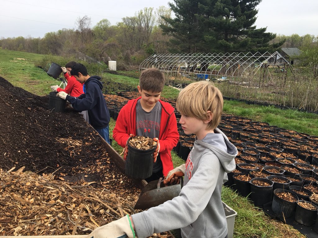 SSSASMaestroG's tweet photo. A great day for 7th grade service learning at Clagett Farms!  @SSSASsaints https://t.co/UWej9AQWrM