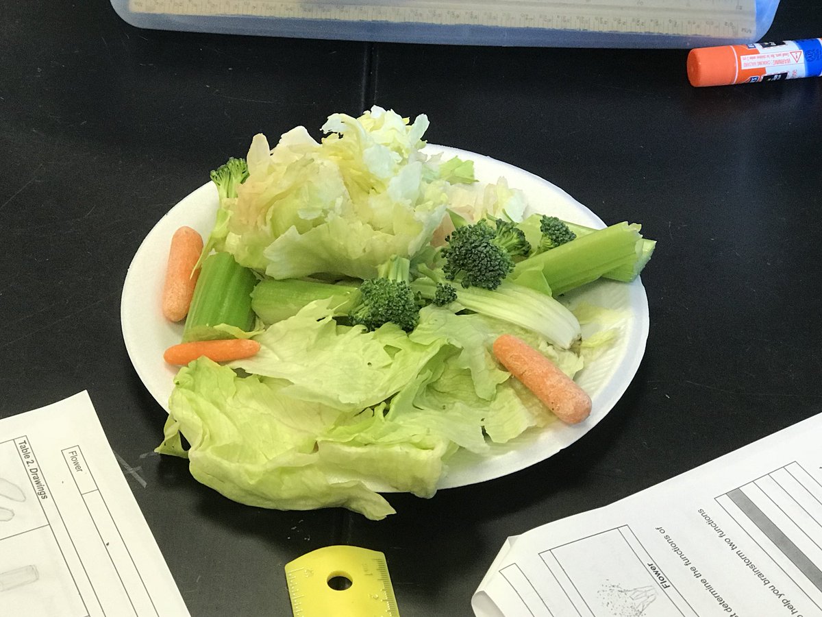 StreatFFA's tweet photo. Learning about plant parts in Intro to Ag #CASEAFNR #teachag #plantparts #yummysalad https://t.co/OeBrhCqjGt