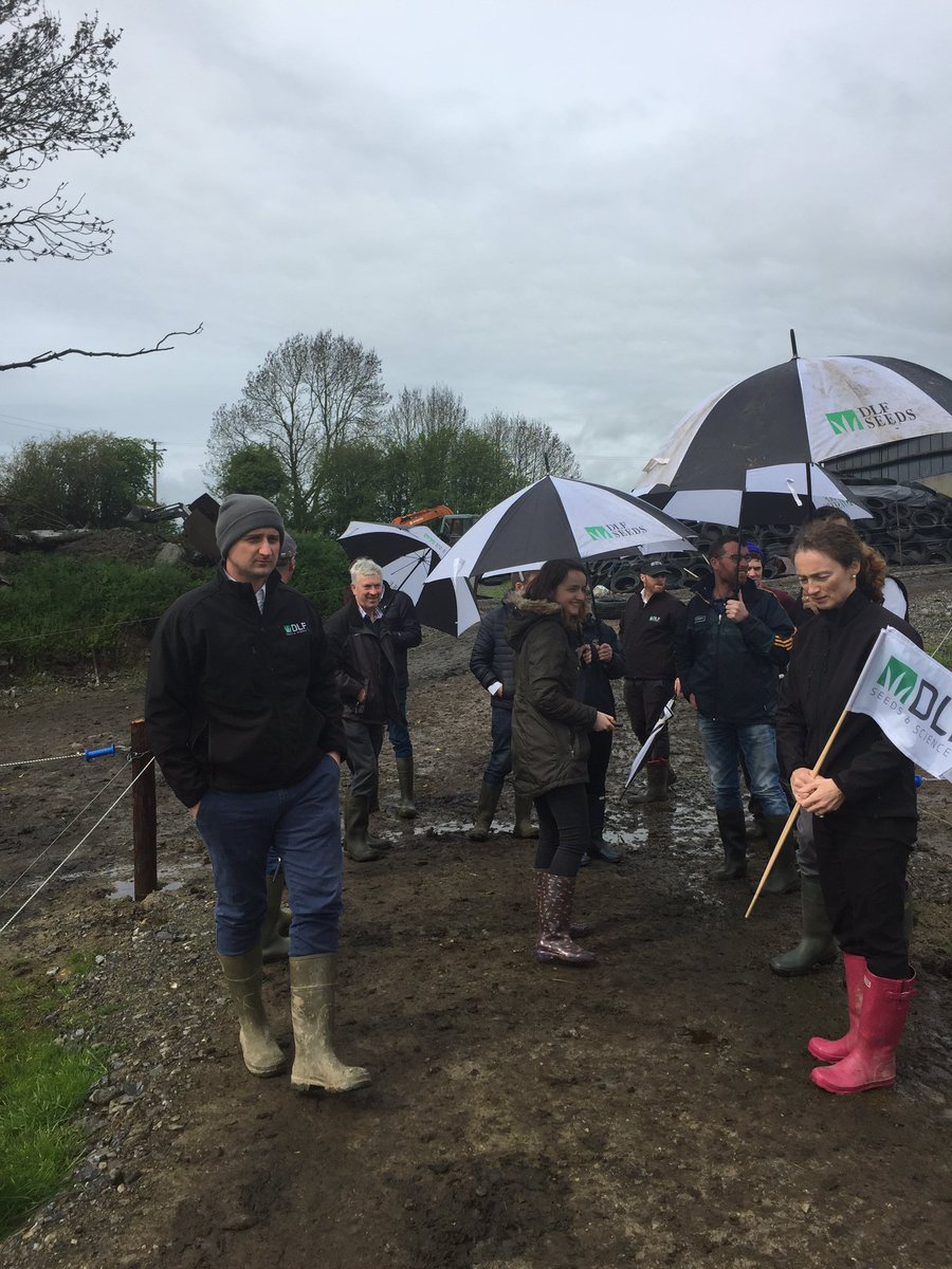 DLF_IRL's tweet photo. Thanks to David &amp; Ivan Thomas, DLF grass partner farmers, for showing all the farmers involved in the programme around their recently converted beef to dairy farm in Rahan Tullamore.Huge amount of work done on the farm in the last yr. V impressive. @AgrilandIreland @farm_ireland https://t.co/XcPUiYOnV2