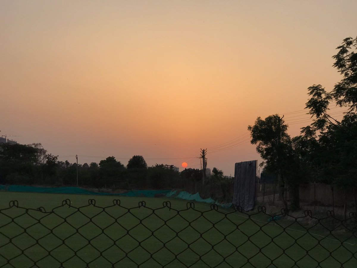 Games Forest tweet media