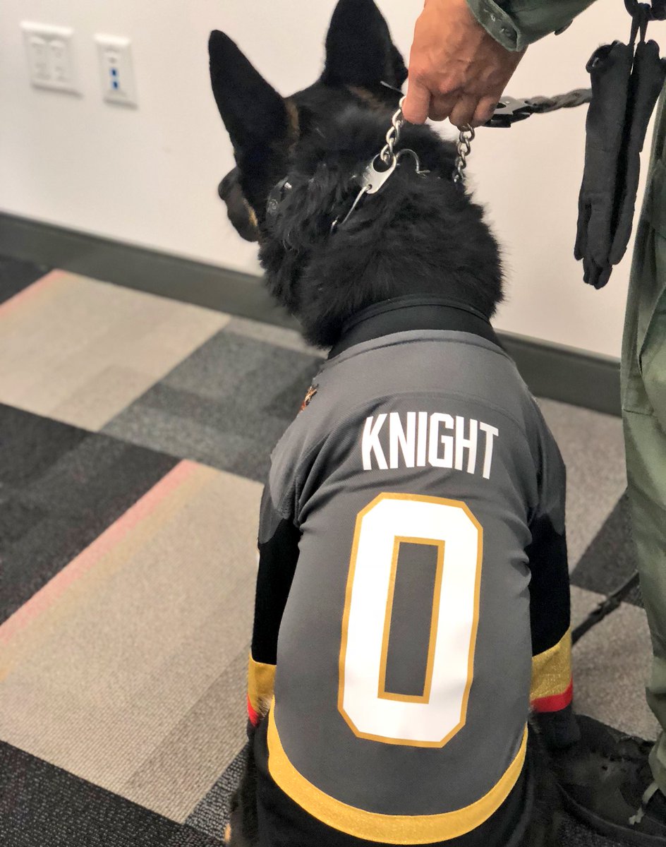 dog golden knights jersey