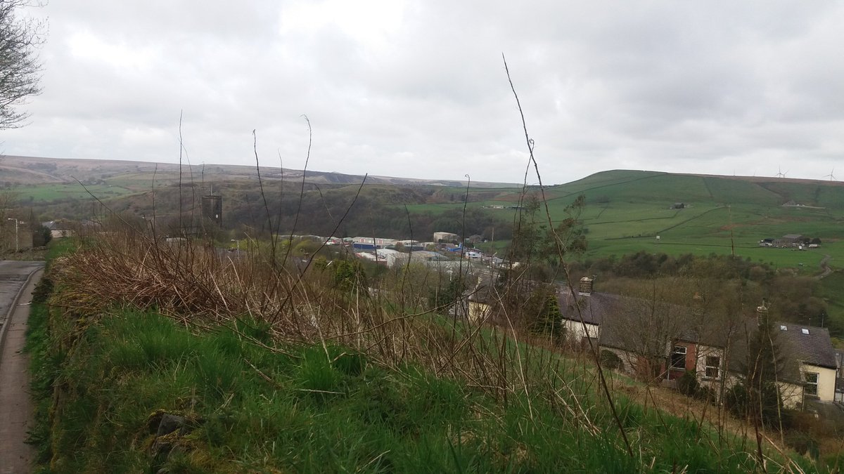 PancakesBlog's tweet image. Went for a walk today even though I was poorly. Feel proud of myself.#mentalhealth @NAPAC