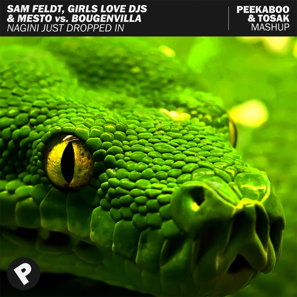 WeArePeekaboo's tweet photo. "To see what condition my condition was in..." 🎶 New Future House Mashup with TOSAK on SoundCloud &amp; YouTube: https://t.co/nEbl0yF000 🐍 #EDM #Dance #FutureHouse #GrooveHouse #Mashup #Collab #Nagini #JustDroppedIn #MyCondition #HarryPotter #Voldemort https://t.co/XexJHuWZOr