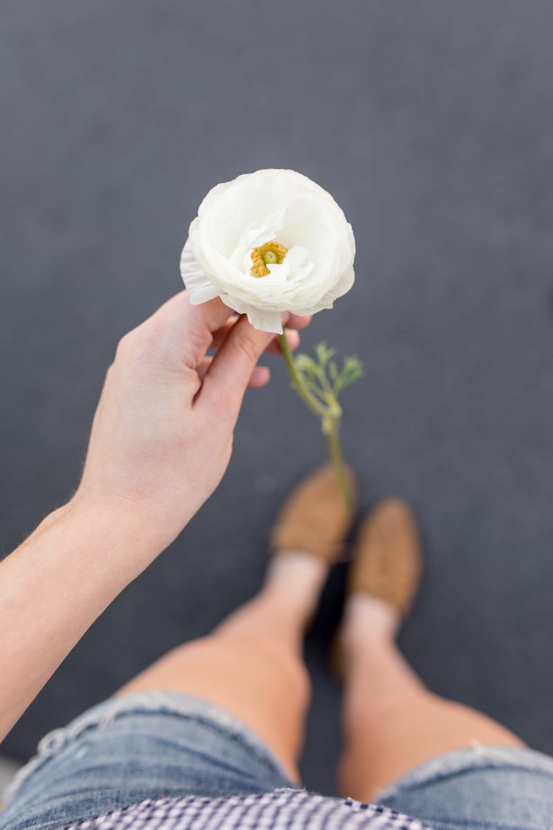 My_Little_Posy's tweet photo. Hi there pretty little flower! 🌼 https://t.co/6XQazx6kvZ