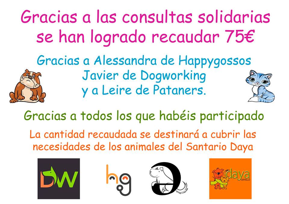 DayaCervello's tweet photo. 😍Gracias #Happygossos #Dogworking #Pataners y gracias a todas las personas que han participado. Las consultas solidarias siguen: para cada clase personalizada de 20 minutos una aportación de 15€ para @DayaCervello +Info: https://t.co/gMP1pBXR4j https://t.co/rBvlRpulri