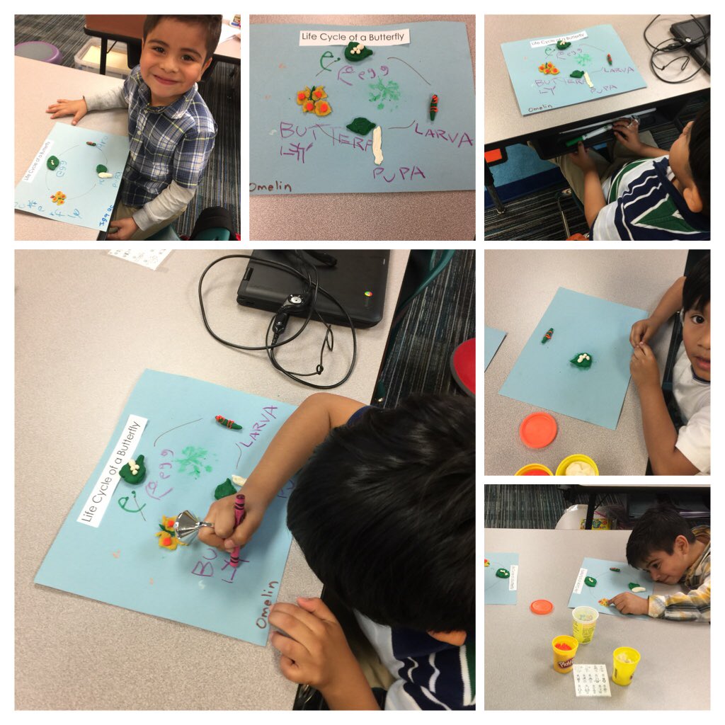 Elizabeth Jimenez tweet media