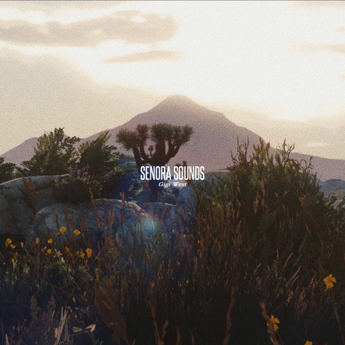 ThePrattleMag's tweet photo. @xGigiWest 's has released a new single, #SenoraSounds! Listen to it in full HERE: eye.find/8Yo9hE https://t.co/UA9Jm6kpc9