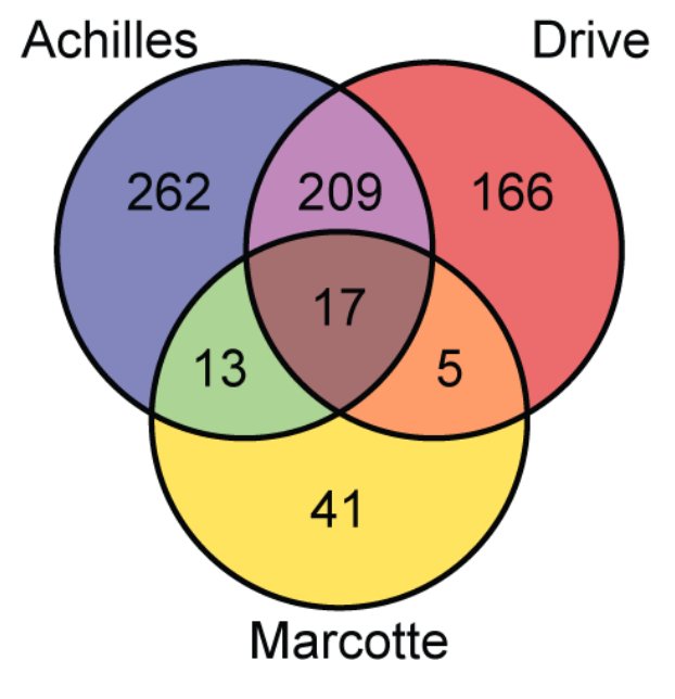 Cancer Data Science (@cancerdatasci) on Twitter photo The largest dataset of cancer genetic dependencies: More than 970 RNAi screens in 713 cell lines from <a href="/broadinstitute/">Broad Institute</a> Achilles, Novartis DRIVE and Marcotte et al., 2016 processed together by the new DEMETER2 method. biorxiv.org/content/early/… <a href="/CancerDepMap/">The Cancer Dependency Map</a> <a href="/biorxivpreprint/">bioRxiv</a> The largest dataset of cancer genetic dependencies: More than 970 RNAi screens in 713 cell lines from <a href="/broadinstitute/">Broad Institute</a> Achilles, Novartis DRIVE and Marcotte et al., 2016 processed together by the new DEMETER2 method. biorxiv.org/content/early/… <a href="/CancerDepMap/">The Cancer Dependency Map</a> <a href="/biorxivpreprint/">bioRxiv</a>