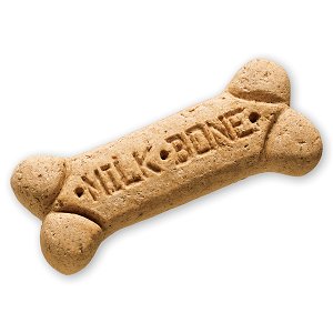 DerekTinnes's tweet photo. Happy birthday to the milkbone. Spongebob movie is on tap for tonight https://t.co/BxjqXutW13
