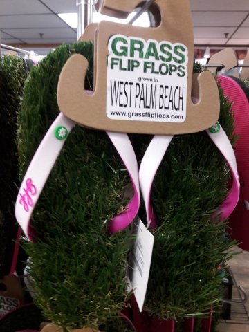 We've got some lawn to go, y'all!