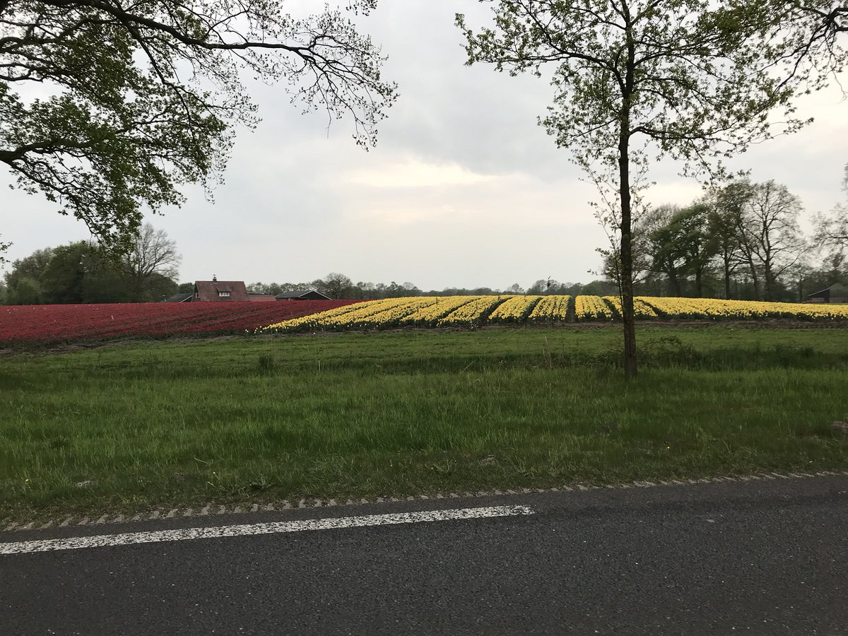 Mooier kan je <a href="/Geesteren/">Geesteren</a> niet binnenrijden. <a href="/Gem_Tubbergen/">Gemeente Tubbergen</a> bedankt voor het roodgele ontvangst met de #stevotulp. <a href="/RKVVSTEVO/">STEVO</a> 👍
