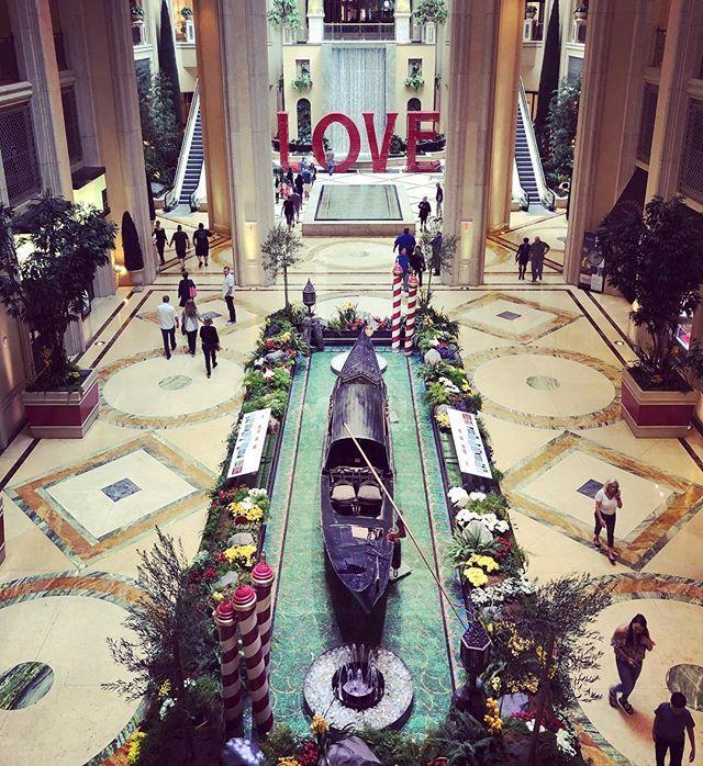 PalazzoVegas's tweet photo. History is in the making. Visit our historic gondola in The Waterfall Atrium before embarking on a glide down the Grand Canal yourself. Photo: @misslyssadventuress https://t.co/ulAtUzlbGl