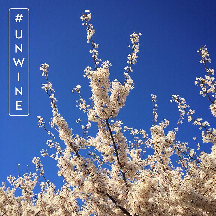 TYKU Sake tweet media