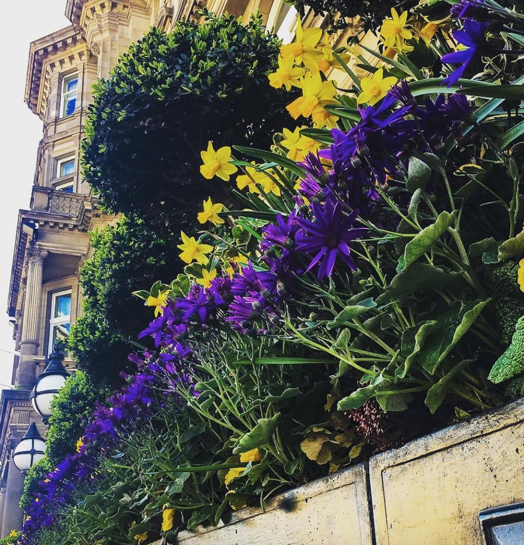 UrbanSimplicity's tweet photo. #TravelTuesday 💐🏴󠁧󠁢󠁳󠁣󠁴󠁿💐 How gorgeous are these blooms outside @thebalmoral in #Edinburgh ?! #urbansimplicity #scotland #TravelChat #Traveling #traveltheworld #travelphotography #travelpics https://t.co/nb47sNT5IT