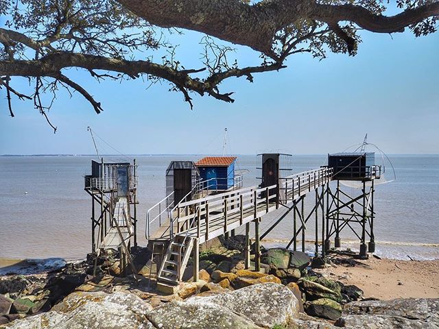 HalluciNantes's tweet photo. Lot de pêcheries
.
#igersnantes #igersfrance #saintnazairetourisme #instastnaz18 #igrecommend #gf_france #ig_france #loves_france_ #super_france #bns_france #jaimelafrance #loireatlantique #chemincotier #ig_worldclub #lesphotographes #commcam #ig_europe … https://t.co/yc8MN6IHrM https://t.co/EsIq0N8gSd