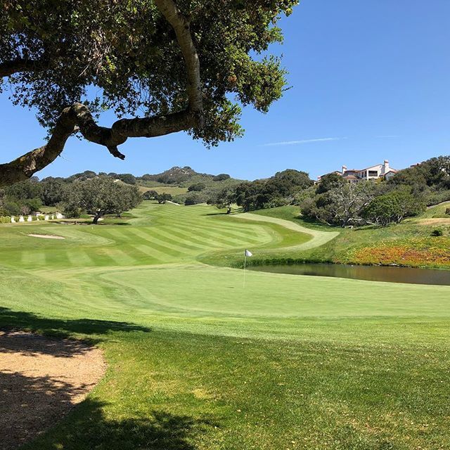 GolfNomadBAA's tweet photo. Enjoying my final picture-perfect day of this #norcal golf trip. First round today at scenic Nicklaus Club - Monterey. #golf #golfisgreat #whyilovethisgame #golfstagram #instagolf #golfcoursephotography #bogeysacrossamerica #golfcoursearchitecture #jackn… https://t.co/NOXq8p8c8m https://t.co/68NI4jbSbq