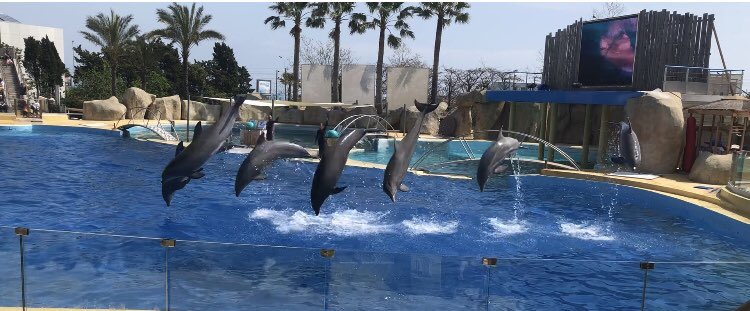 #Marineland #dreams #happy