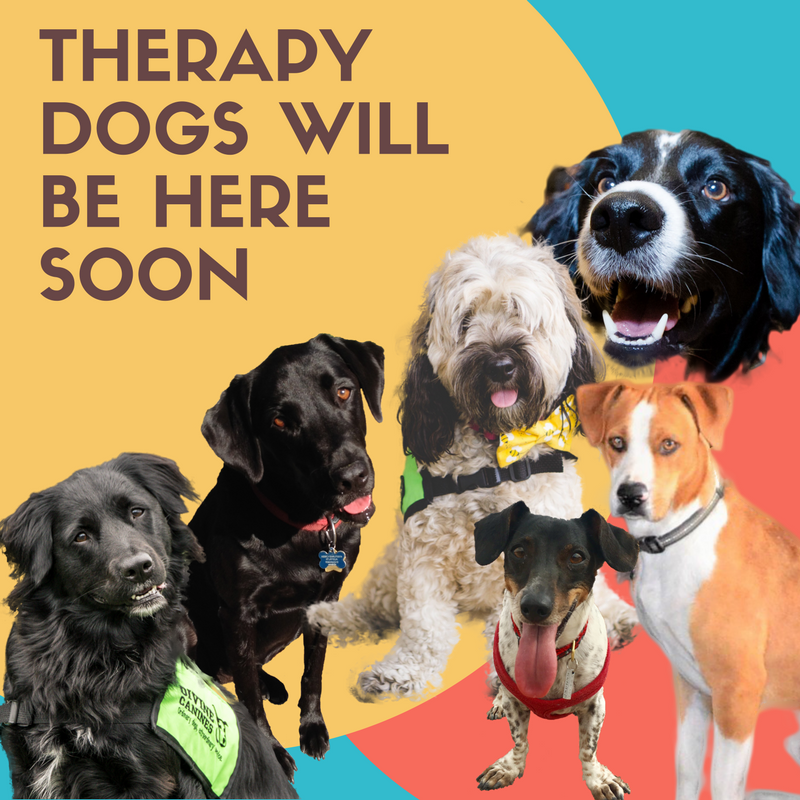 Alkek Library tweet media