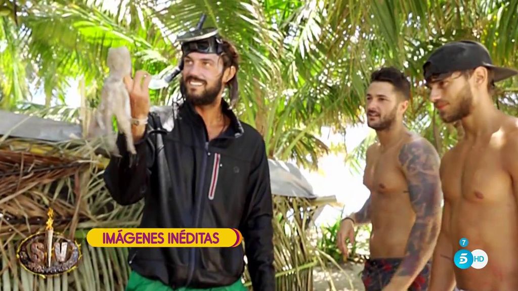 Imagen