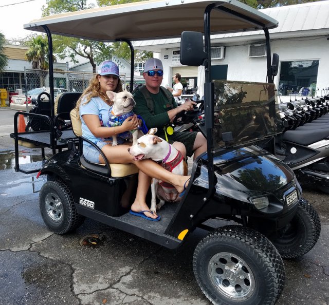 We have carts big enough for the whole family!