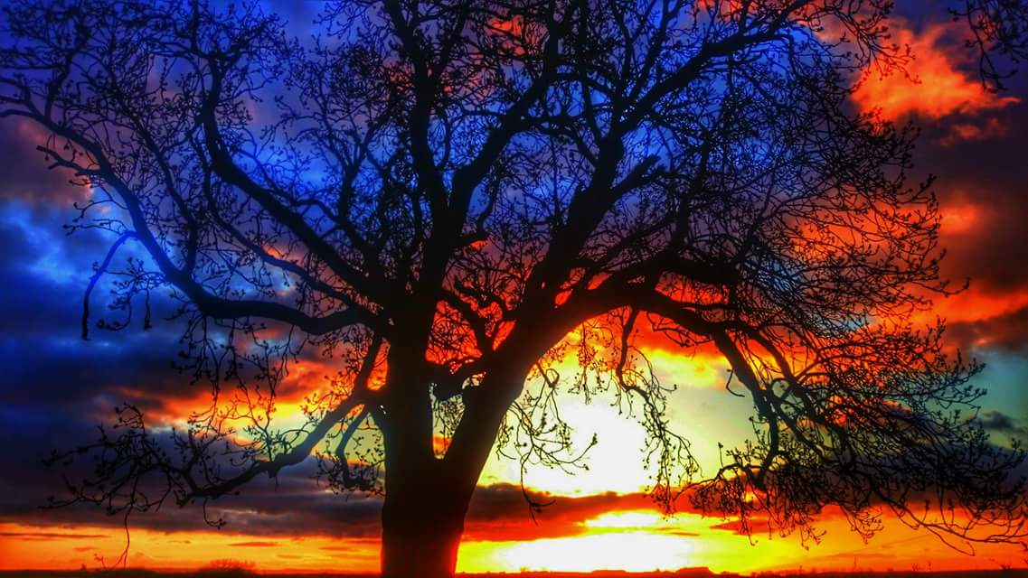 Chris Garner tweet media