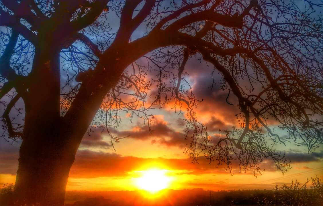 Chris Garner tweet media