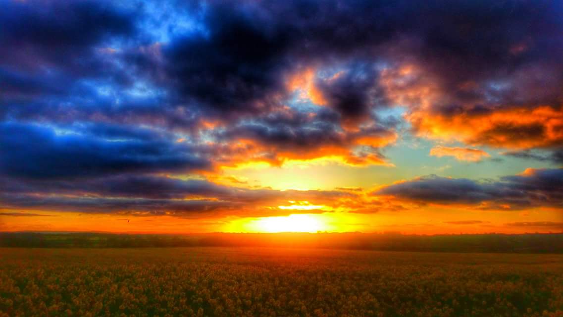 Chris Garner tweet media