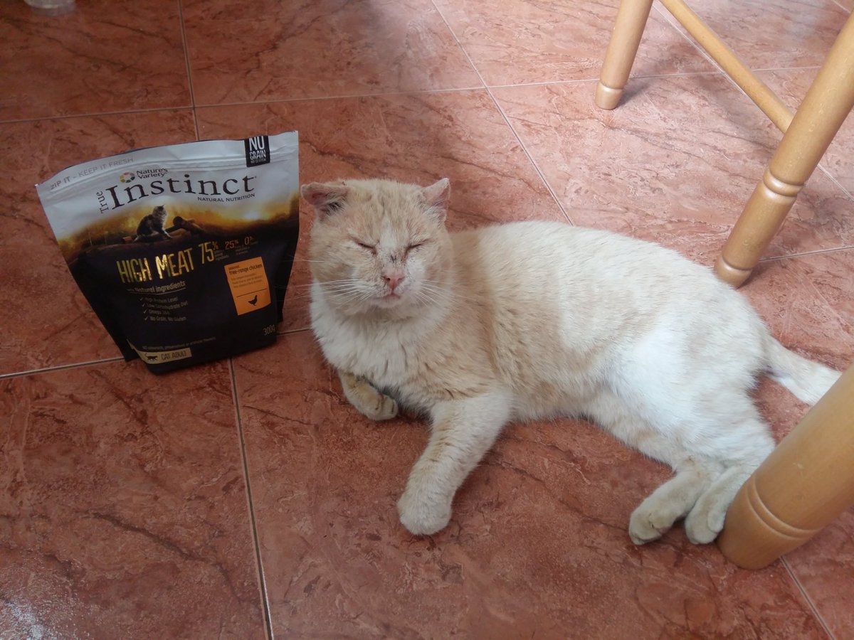 MajeAlonso's tweet photo. #AlimentaSuInstinto https://t.co/OglcCxVKul