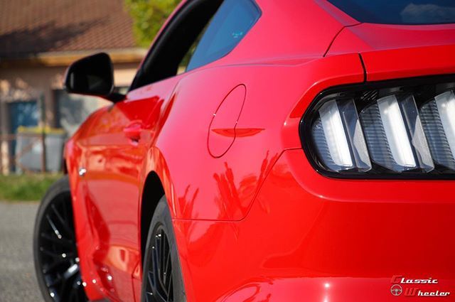 ClassicWheeler's tweet photo. Ford Mustang GT
#ford #fordmustang #fordmustanggt #mustang #mustanggt #oldtimer #youngtimer #carphotography #voituredecollection #carphotoshoot #carphoto #drivetastefully #vintagecar #vintagecars #carstagram #carvideo #carvideos #carspotting #voituredes… https://t.co/mfnHiqd7dB https://t.co/fnzvEx0mYn
