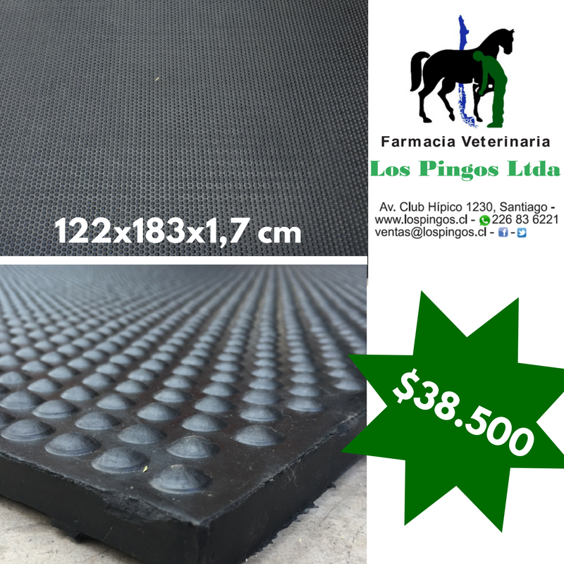 LosPingosLtda's tweet photo. #PisosDeGoma #FarmaciaVeterinaria

Av. Club Hípico 1230, Santiago 🇨🇱
+562 2683 6221
https://t.co/g5X7ifhN8V https://t.co/YXsswkEb07