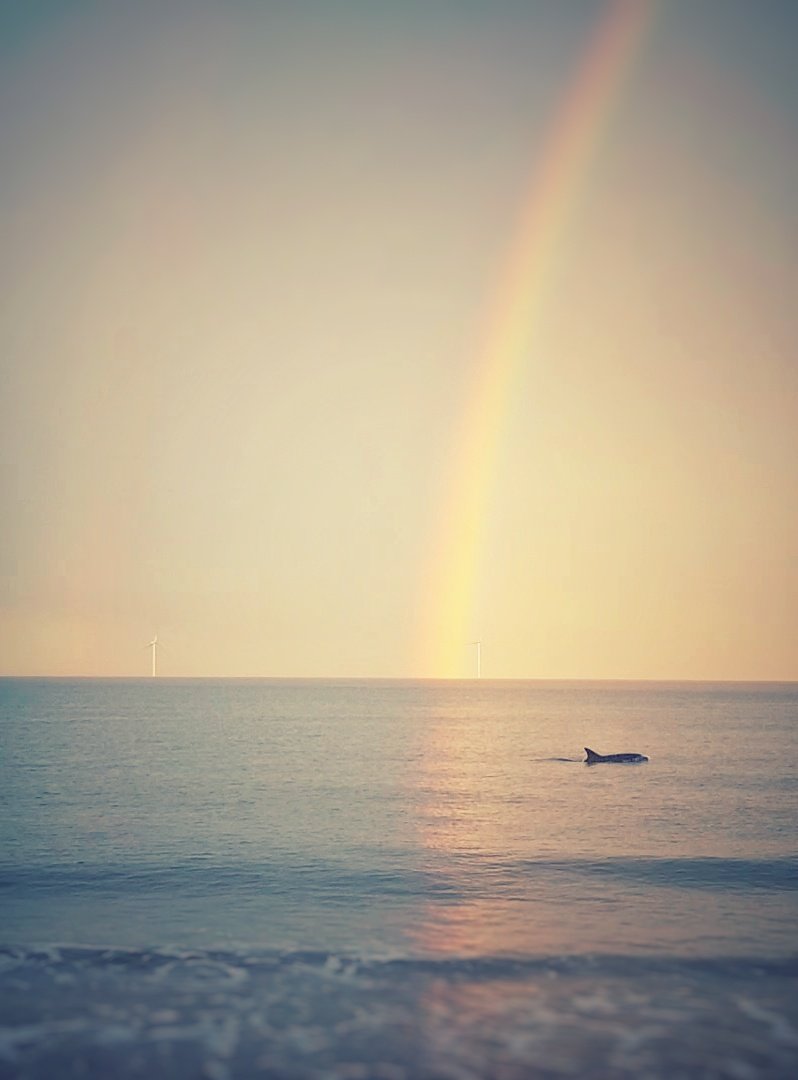 Gary Ramm (@rammlet) | Twitter