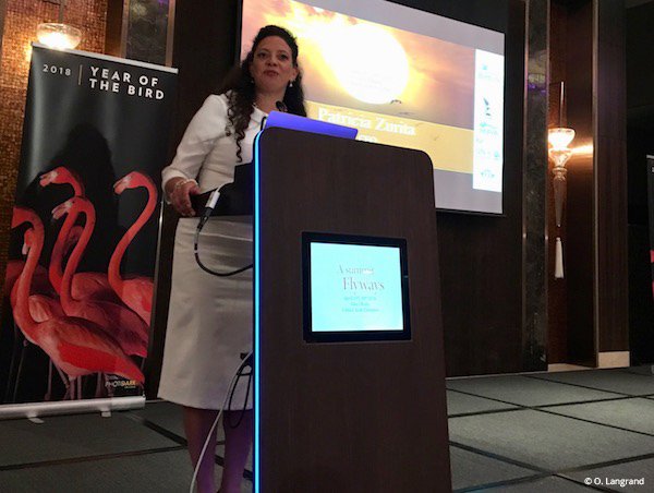 CommunityCEPF's tweet image. Patricia Zurita, @BirdLife_CEO, speaks during the #FlywaysSummit in Abu Dhabi, which @BirdLife_News organized. BirdLife&apos;s new publication, &quot;State of the World&apos;s Birds,&quot; found that even familiar birds are at risk of extinction: ow.ly/VdV230jEWSO