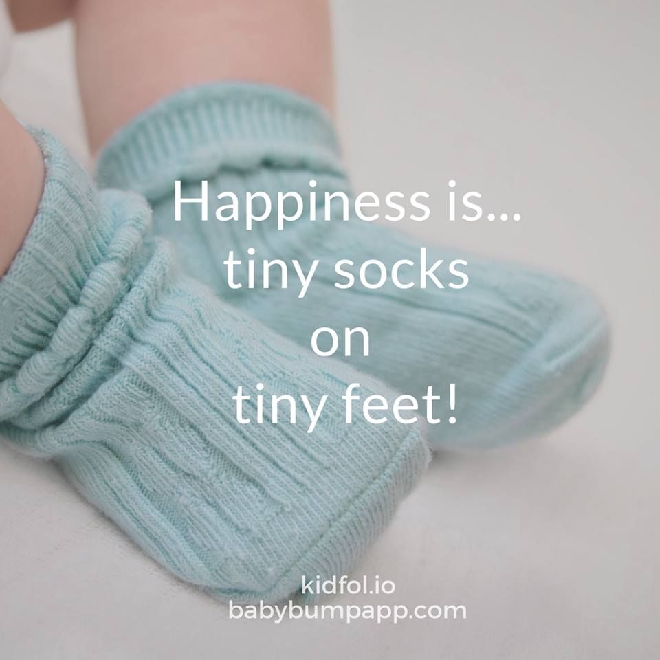 Baby Bump tweet media