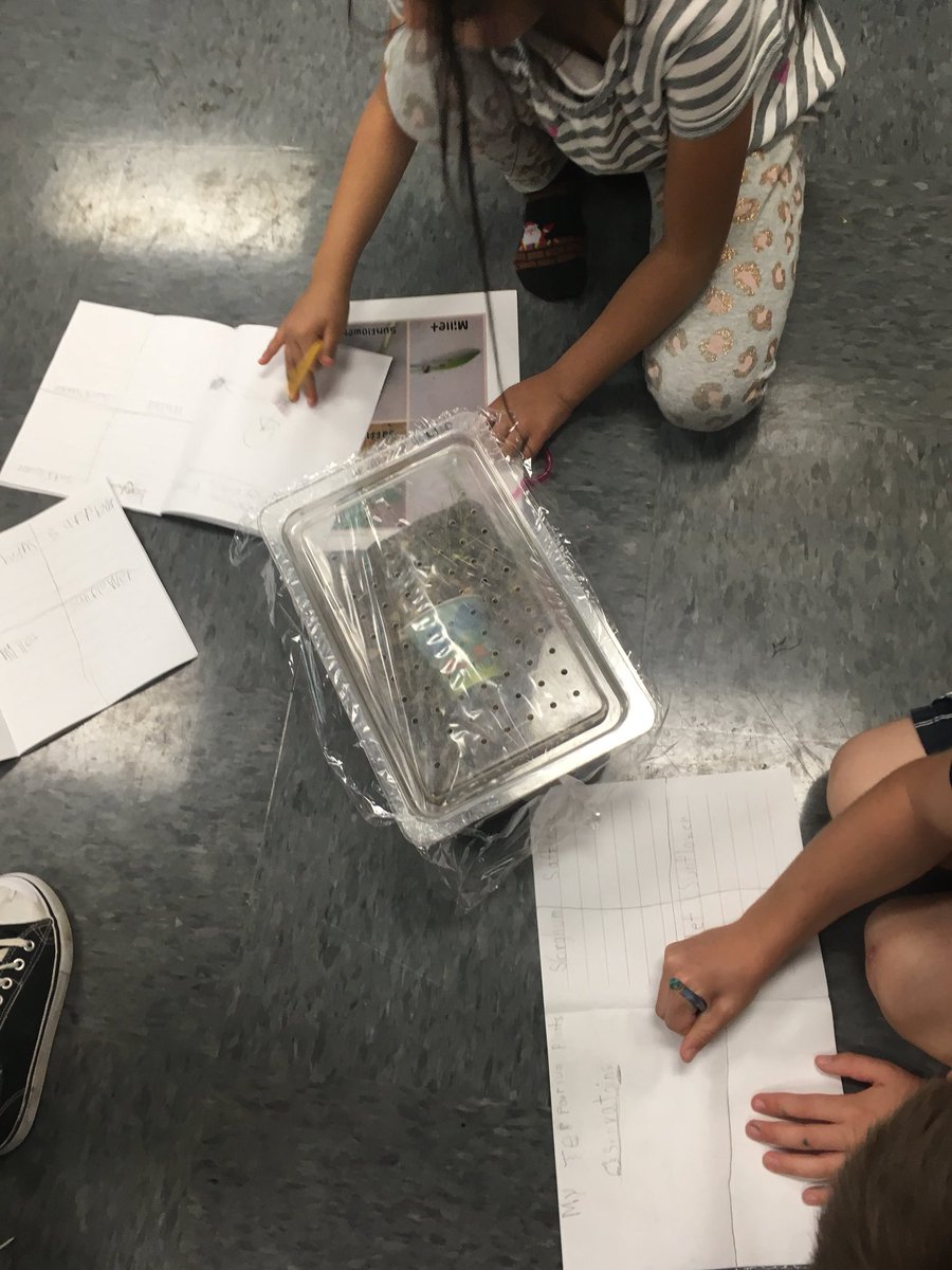 Terrarium observersations. We’re making sure they’re ready for our red worms and isopods! #Reaganrays