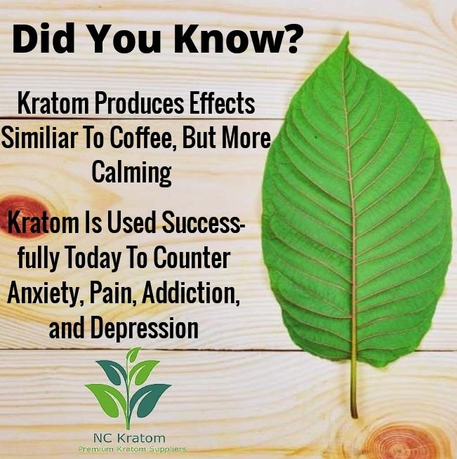 NCKratom's tweet photo. Share to let others Know! Kratom is one of the best natural alternatives available. ☺🌿 https://t.co/SzGd6gwexo
.
.
#kratom #kratomtea #kratomlife #kratomelite #maengda #yoga #mitragyna #mitragynaspeciosa #kratomleaf #naturalhealth #natural #healthiswealth #nckratom https://t.co/79WWSJAwHG
