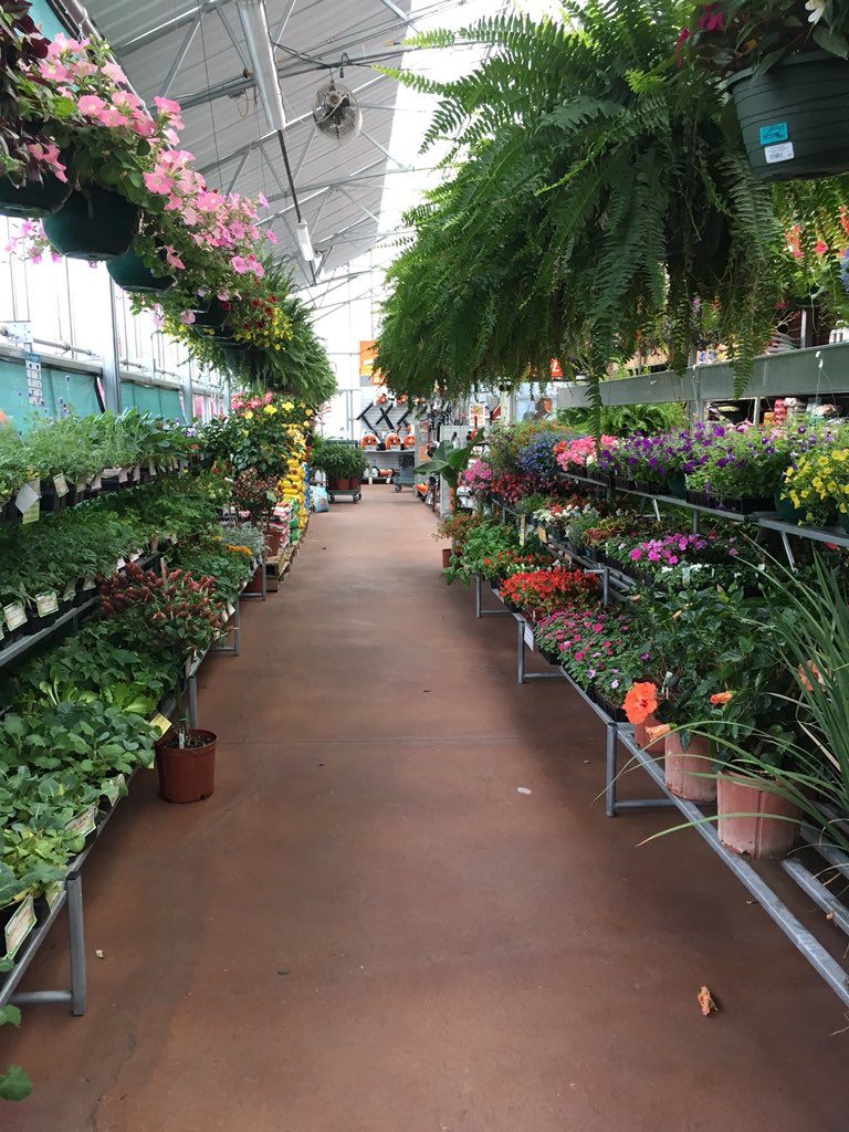 Our greenhouse in Prospect is full to the brim with locally grown plants waiting to go home with you! 🌿🌼🌱