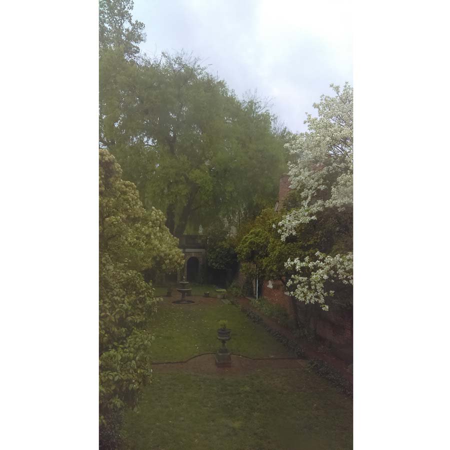 A rainy day in the <a href="/PoeMuseum/">The Poe Museum</a>'s Enchanted Garden. #RVA #RVAgardentrail