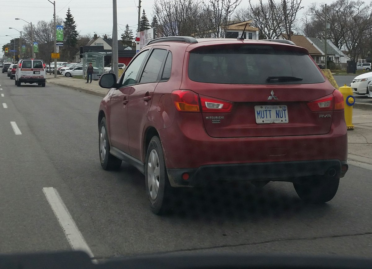 oben1kenobi's tweet photo. This plate is hilarious to a simple minded fuck like myself. https://t.co/S9Ilk1UYxG